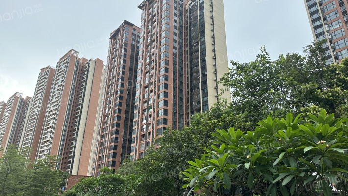 珠江花城五六期外景图