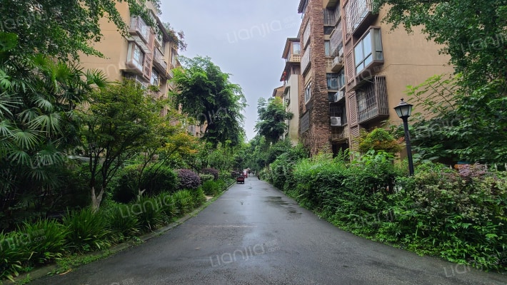 柏林河畔外景图