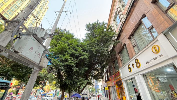 巴县大道25-1外景图