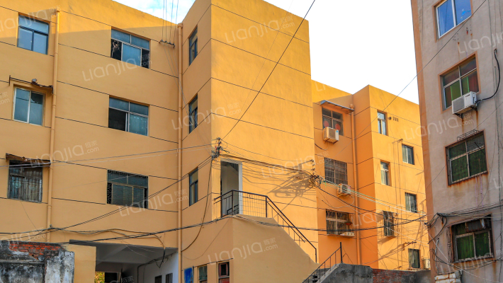 鸡蛋妹家属楼外景图