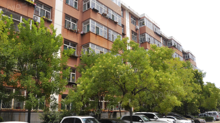 新村小区外景图