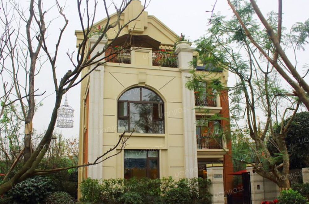 蓝花楹图片_蓝花楹实景图(成都链家新房)