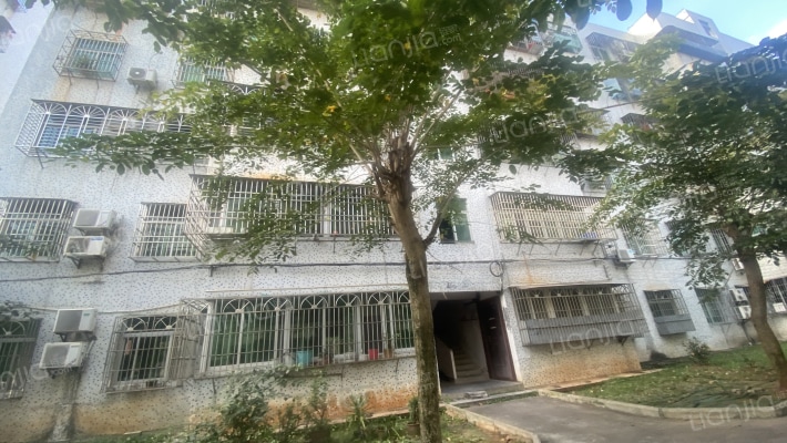 中国外运海南公司职工宿舍区外景图