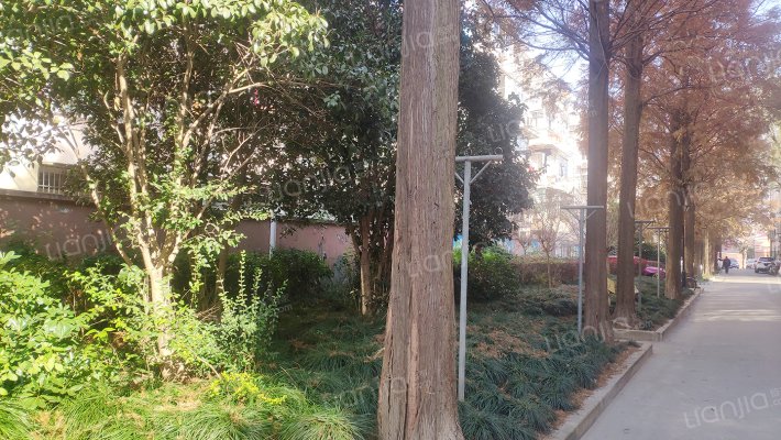 电机一村外景图