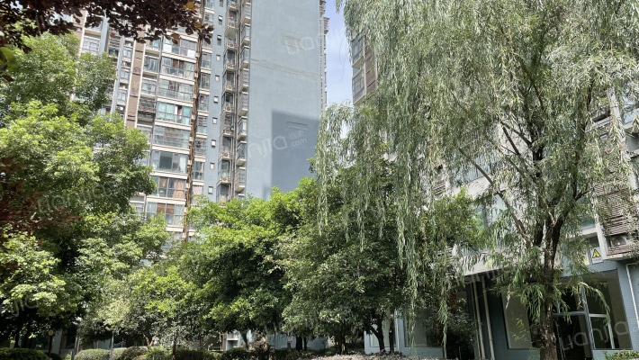 竹林尚书外景图