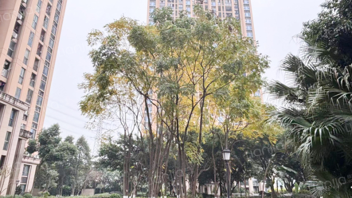 北大资源·江山名门B区外景图