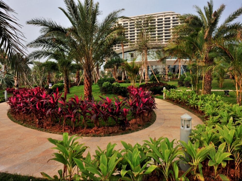 海南·佰悦湾相册