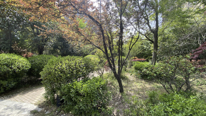 绿都三期外景图