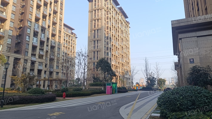 岳家湖世纪城七区外景图