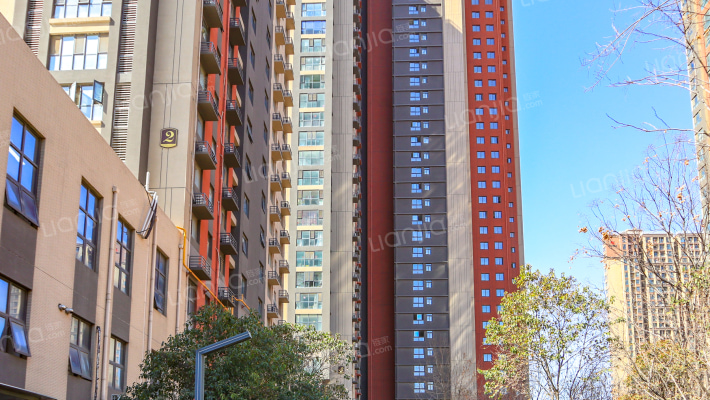 梧桐新语外景图