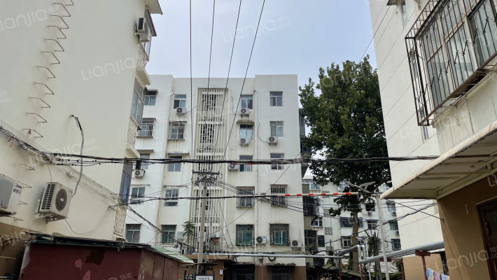 园林局家属院外景图