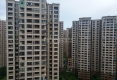 绿地海森林4