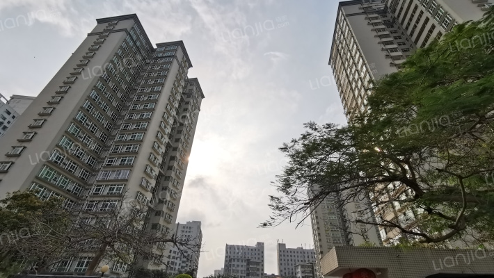 牡丹花园外景图