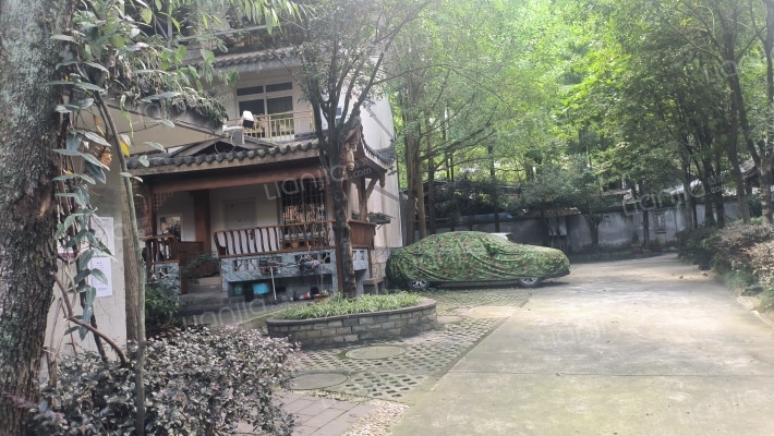 青青庭院外景图