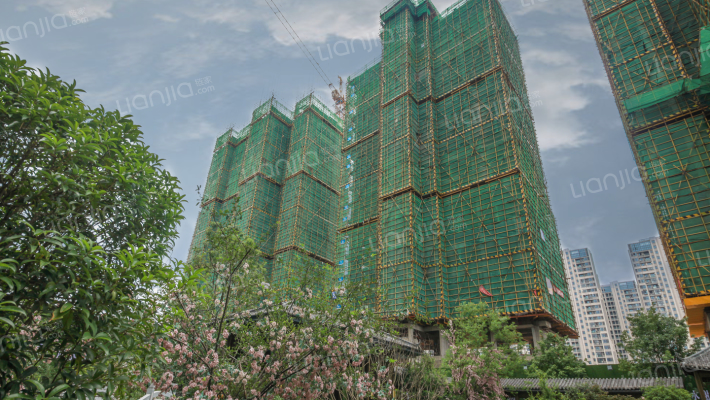 东投国贸海棠之恋外景图