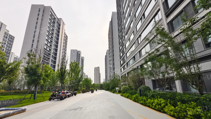 溧水金地峯范花园外景图