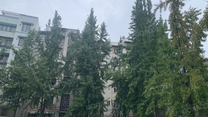 金彭西路332号外景图