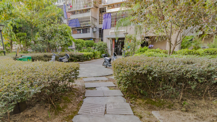 光明港湾外景图