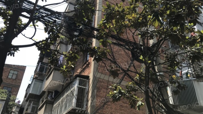 灵光街75号外景图