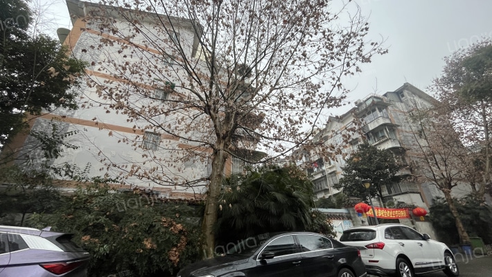 梧桐花园2期外景图