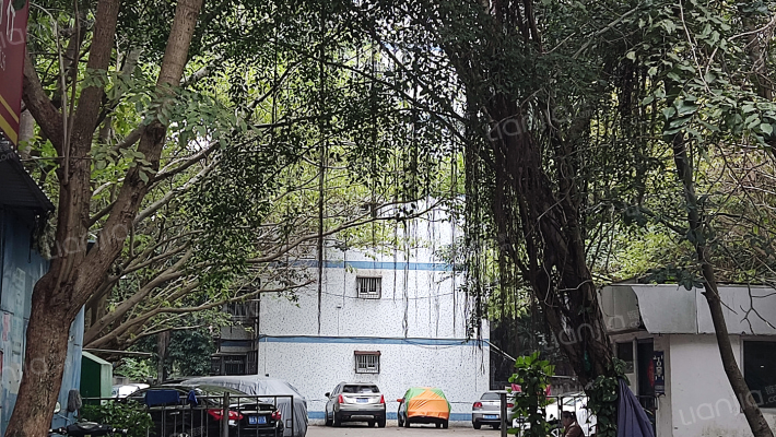 琼山建行宿舍外景图