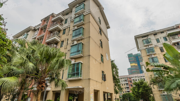 丽沙花都外景图