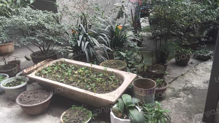 东安北路4号外景图