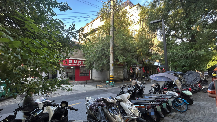 青年路149号外景图