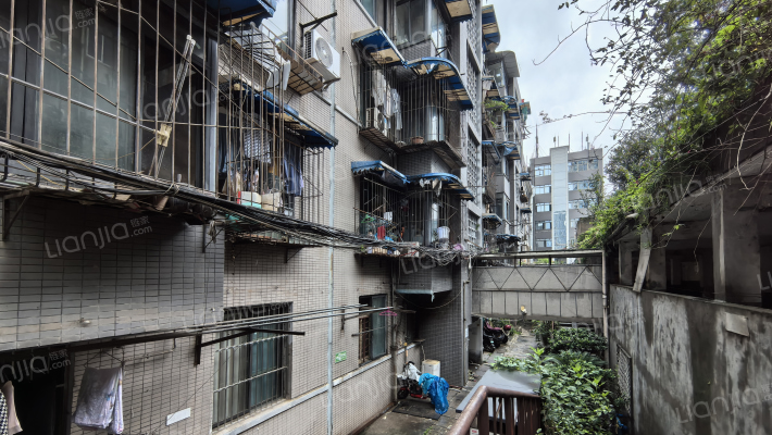 东风路27号外景图