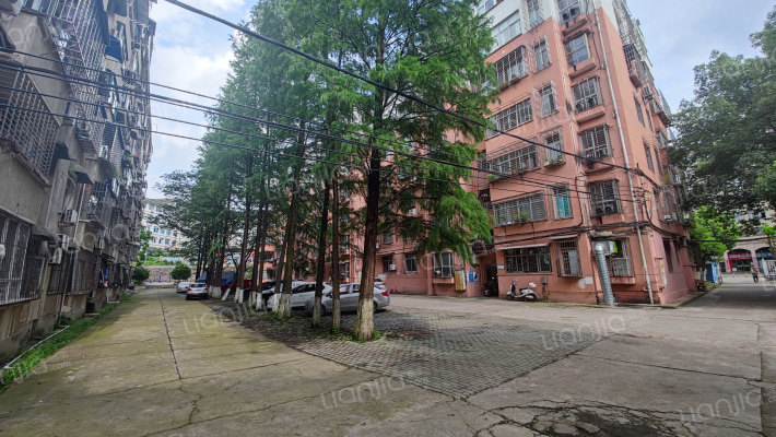 师范小区外景图