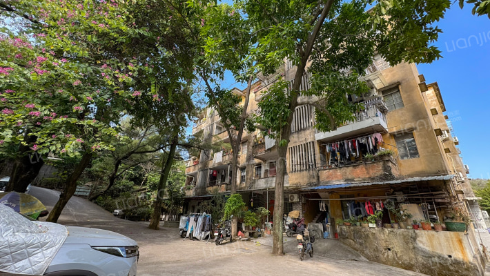 莲花山纸厂宿舍外景图