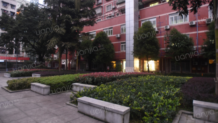 龙平街10号外景图