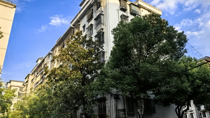 省工商局院内宿舍(爱民路9号)外景图