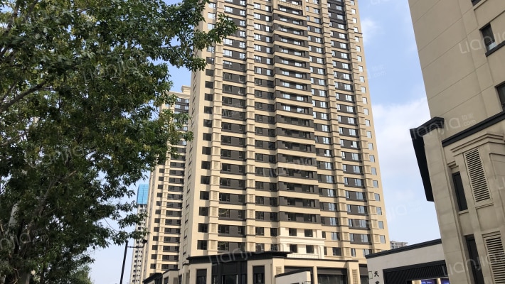 龙湖天宸原著外景图