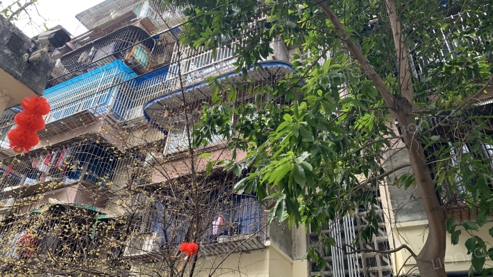 玉林九巷2号院外景图