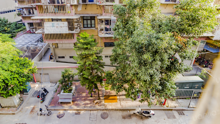 石井新村外景图