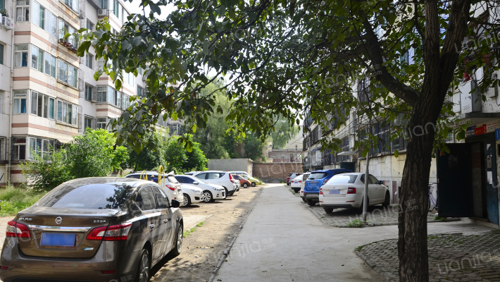 新华苑东小区外景图