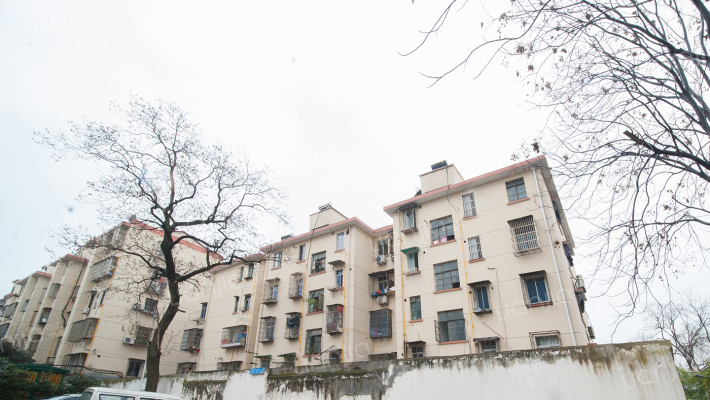 人民路66号外景图