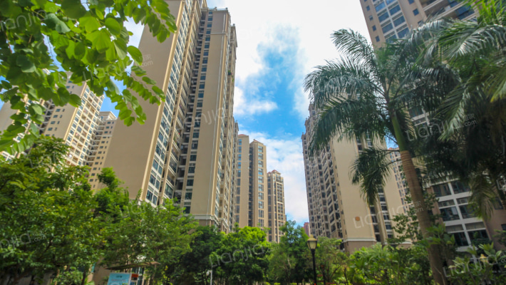 德洲城五期外景图