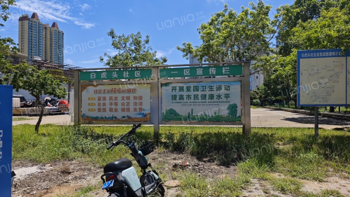 银新东一路 外景图