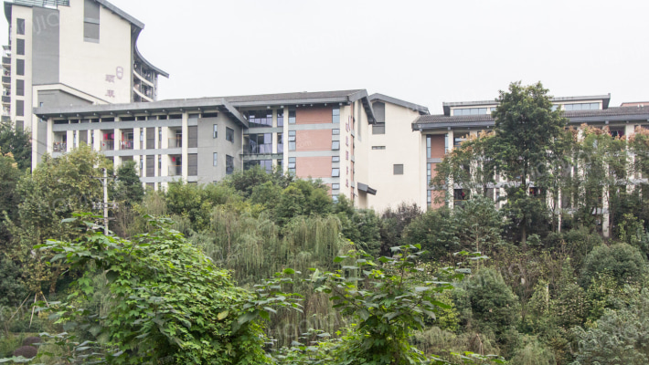 景竹一村外景图