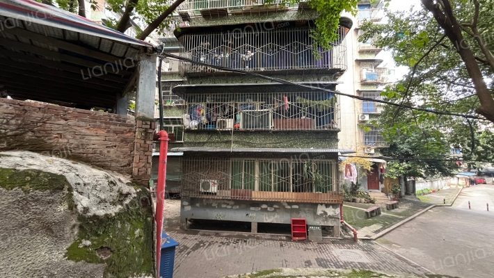 东路三小区外景图