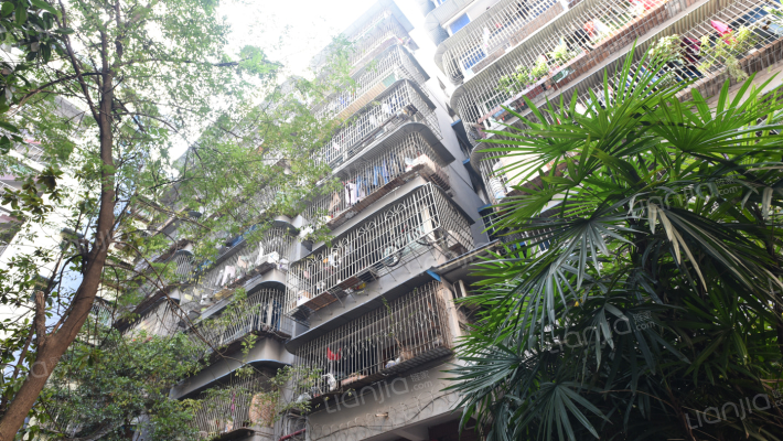 翠湖支路58号外景图