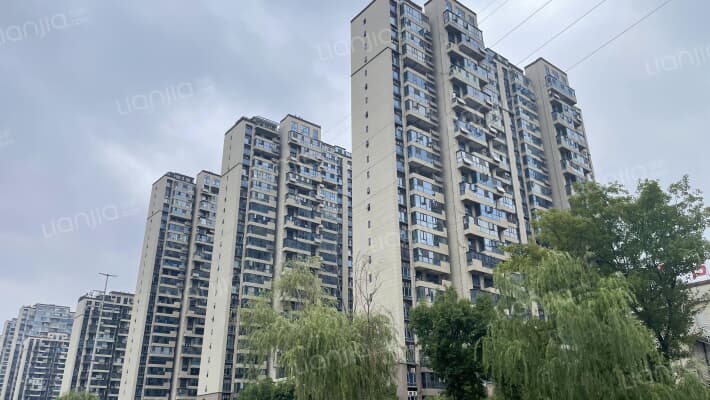 黄金时代柳林苑外景图