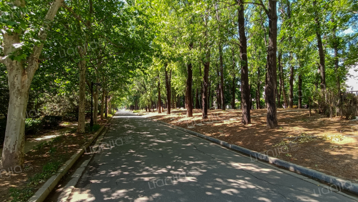 纳帕溪谷外景图