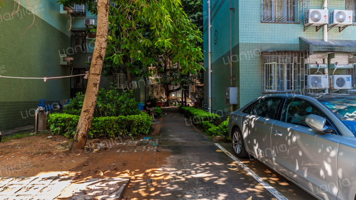 百花苑蛇口外景图