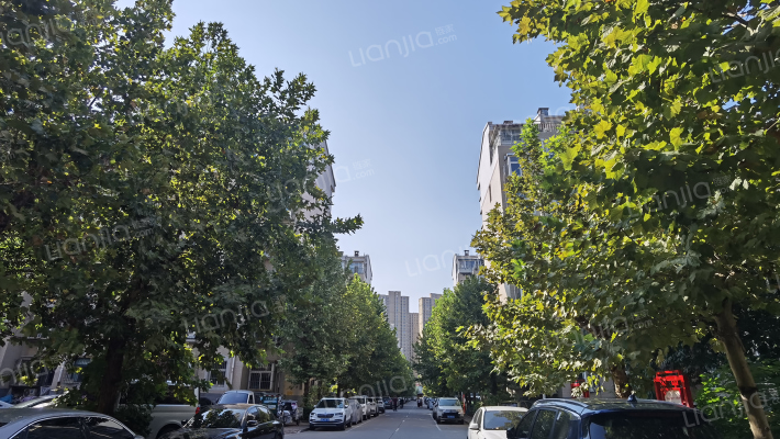 泰华园东区外景图