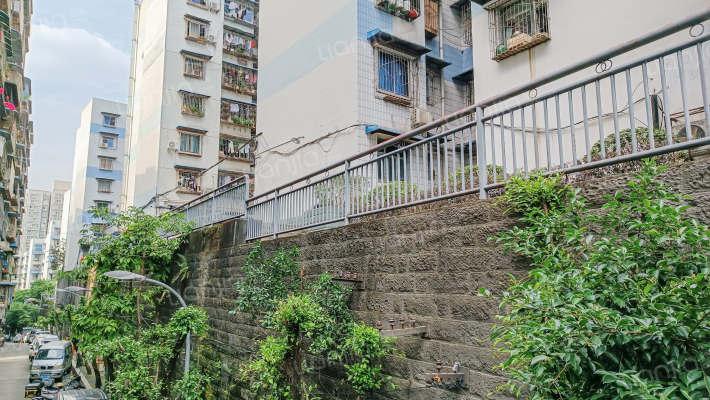 天龙二支路外景图