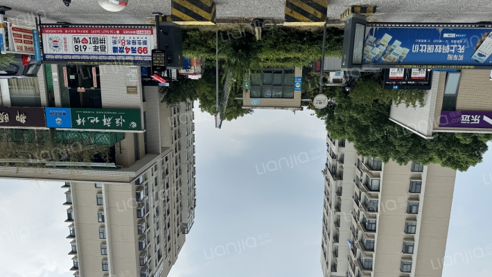 锦荷苑东区外景图