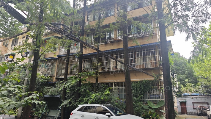 百卉路11号外景图